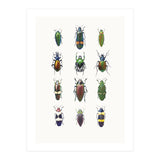 Cc Insects 03 (Print Only) thumbnail