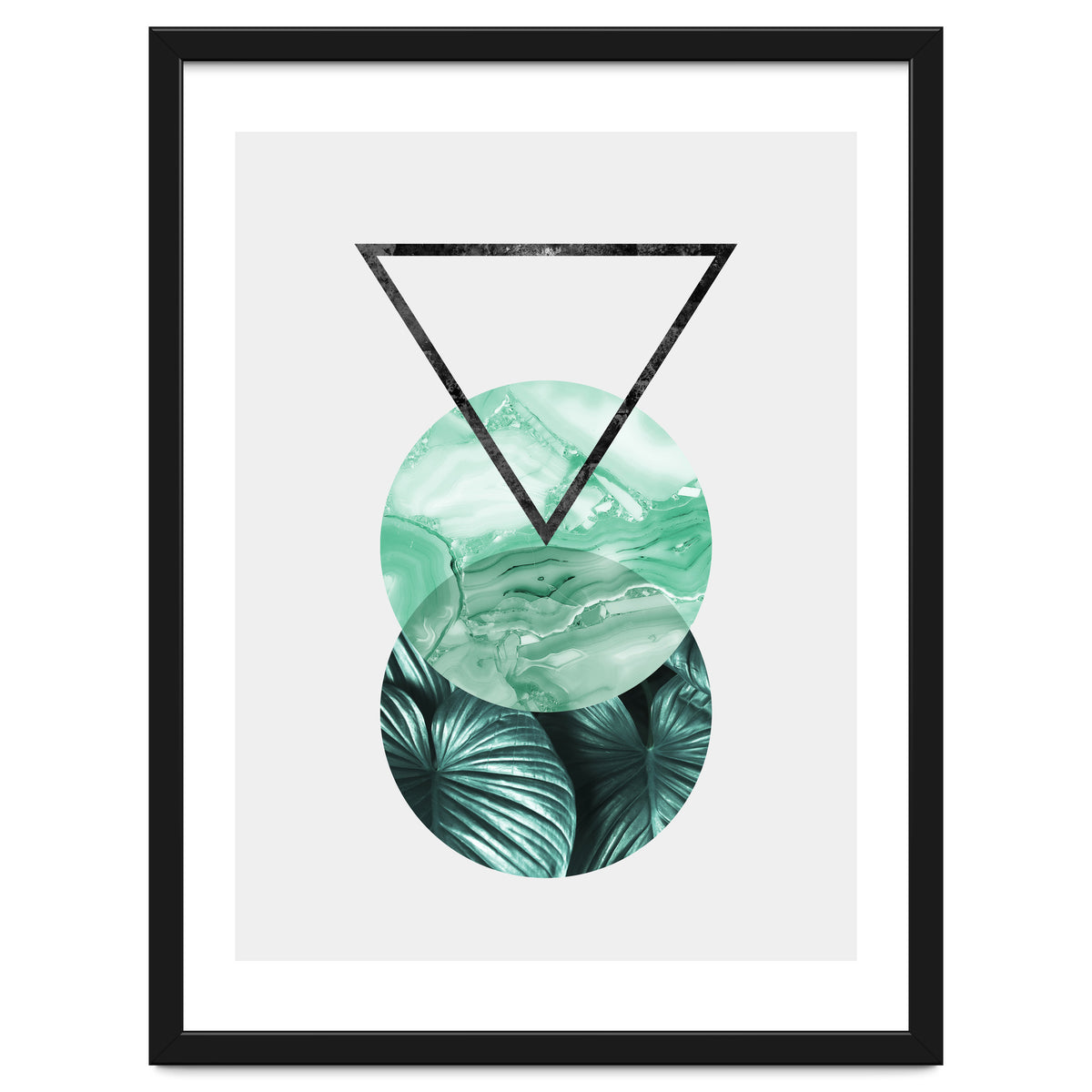 Botanical and geometric II