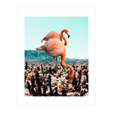 Flamingos In The Desert (Print Only) thumbnail