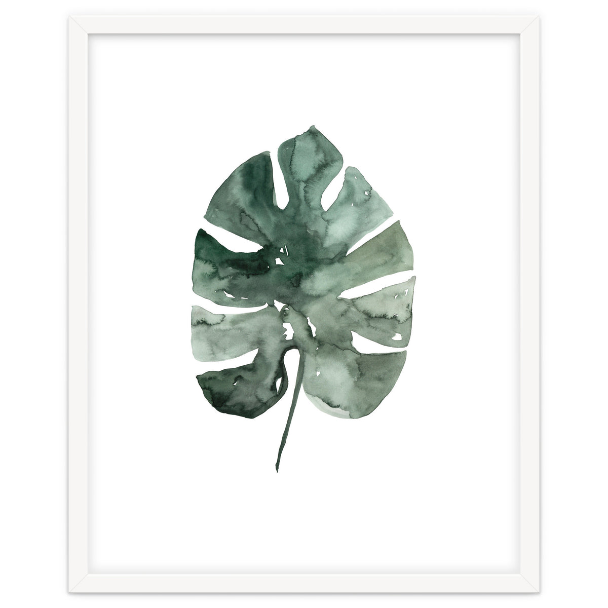 Botanical Illustration Monstera Leaf