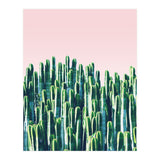 Cactus & Sunset II (Print Only) thumbnail