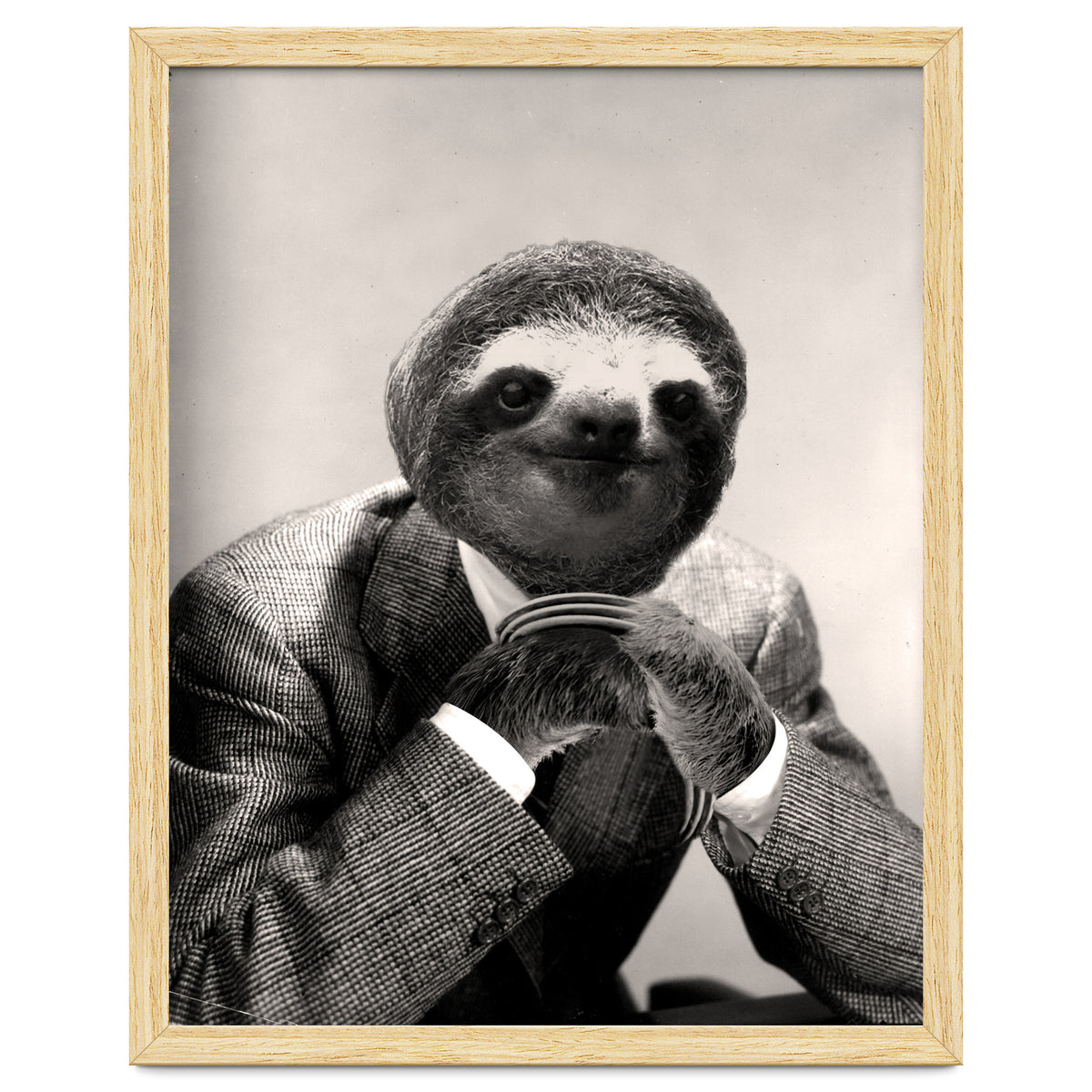 Gentleman Sloth 3