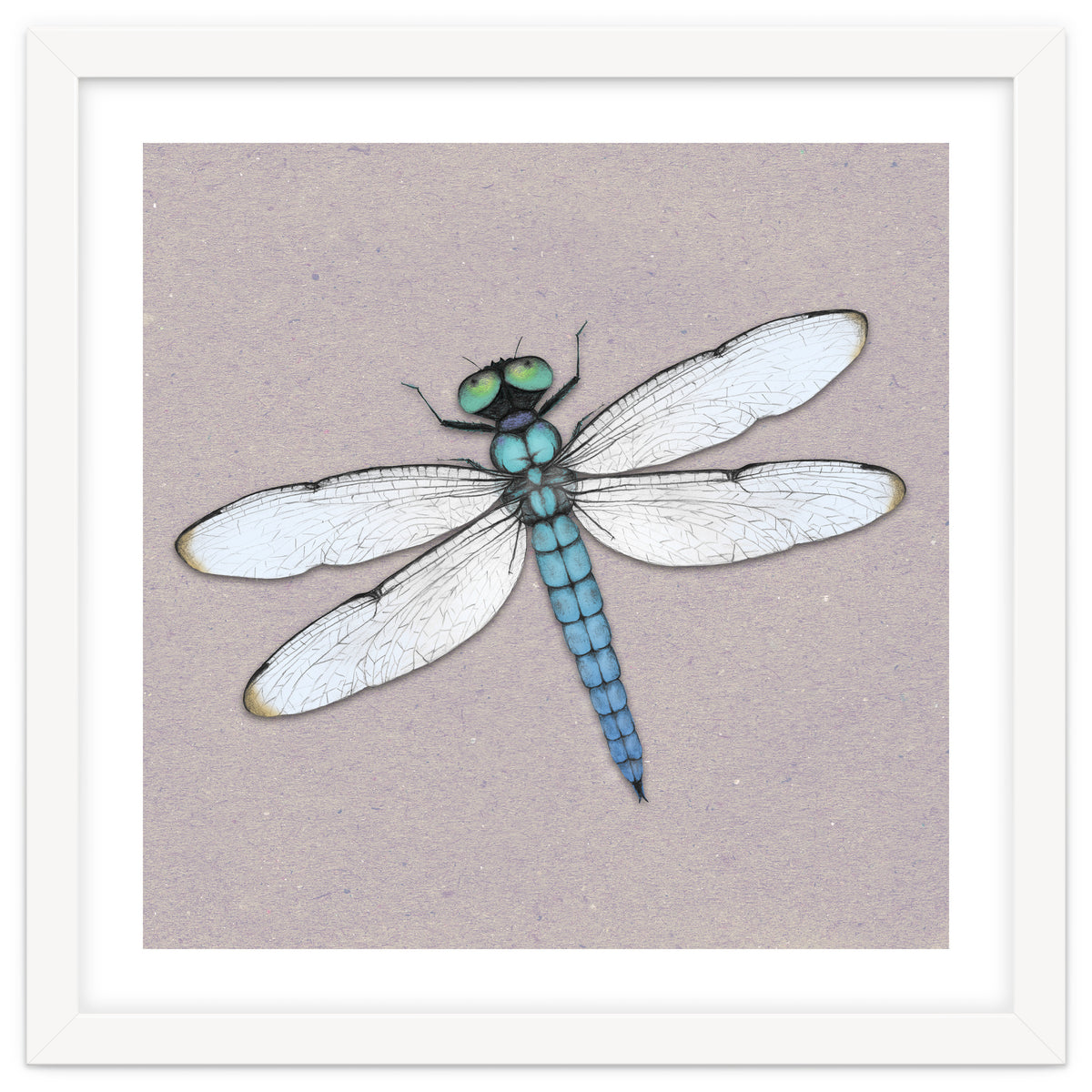 Blue dragonfly