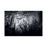 the sheep (Print Only) thumbnail