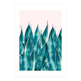 Summer Agave (Print Only) thumbnail