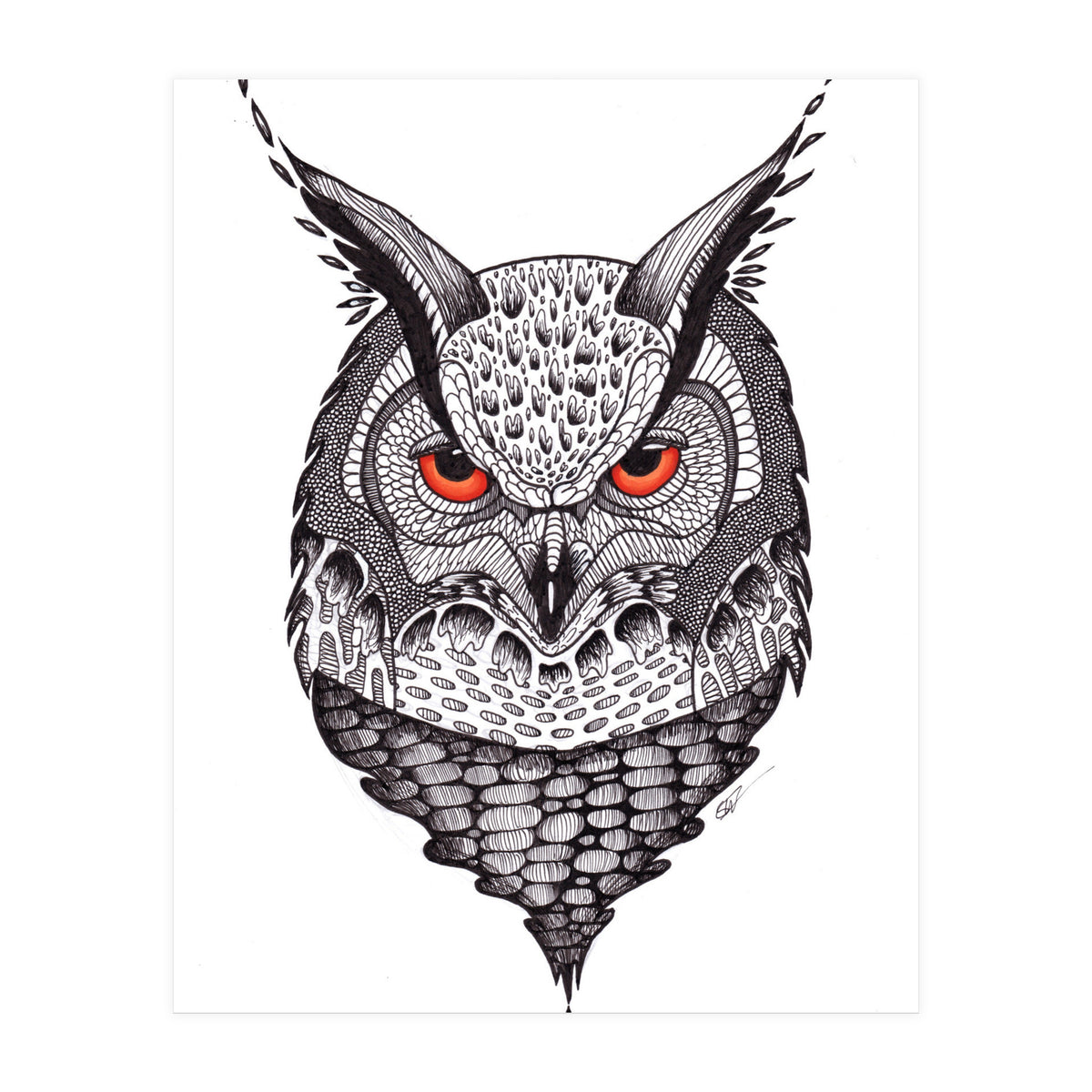Owl (Print Only)