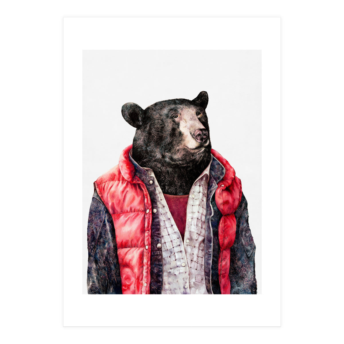 Black Bear (Print Only)