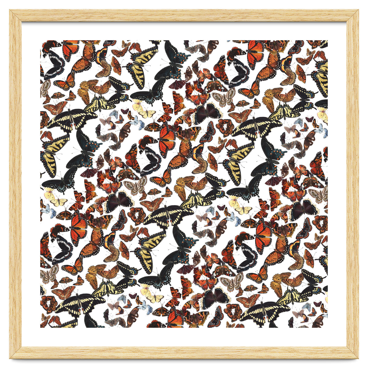 Maine Butterflies Pattern