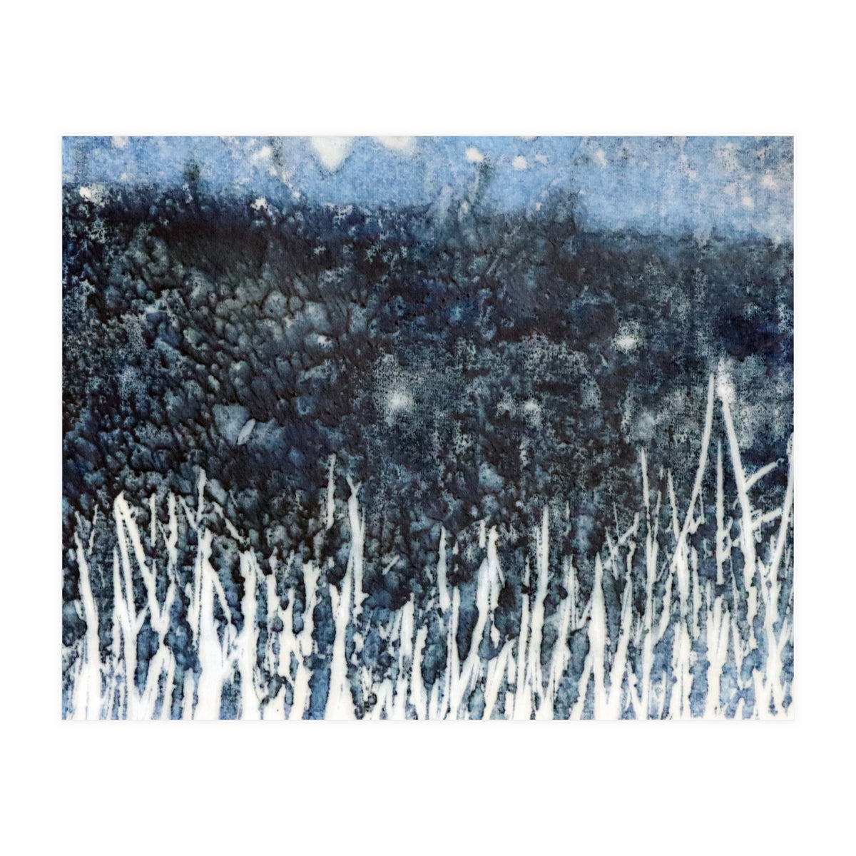 Meadow in the night (Print Only)
