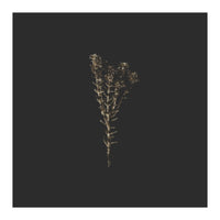 Moody Golden Botanicals - Square (Print Only)