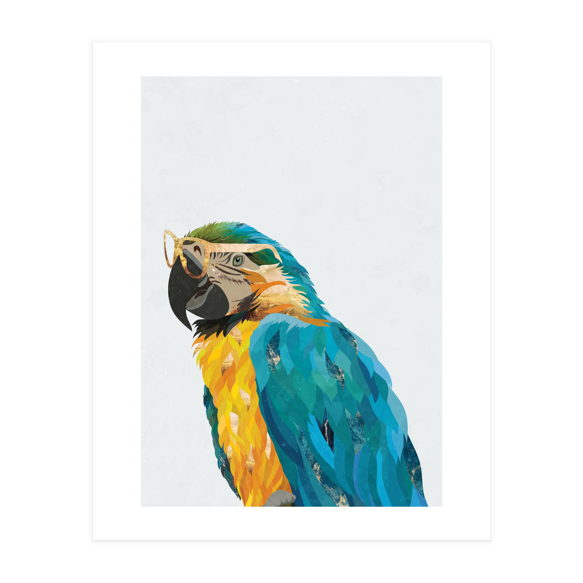Macaw Portrait wearing gold glasses (Print Only)