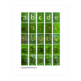 abcde (Print Only) thumbnail