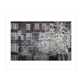 Chelsea Spring  (Print Only) thumbnail