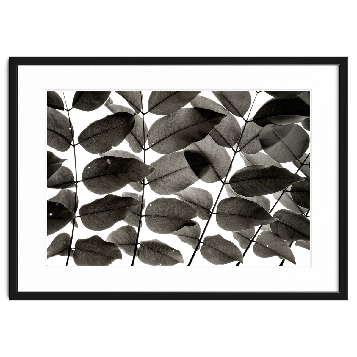 Branches and Leaves I