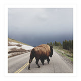Street Walker (Print Only) thumbnail