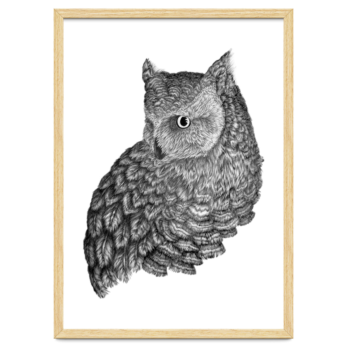 A Friend For Forsythe