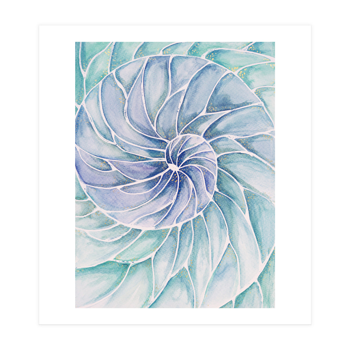 The inside of a shell (Print Only)