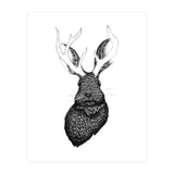 Jackalope  (Print Only) thumbnail