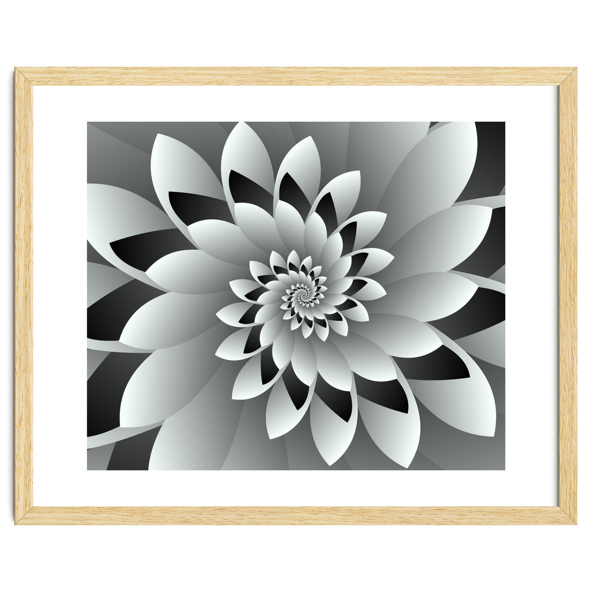 Black & White Floral