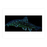 Barbel Fish (Print Only) thumbnail