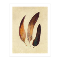 Three Feathers (Print Only)