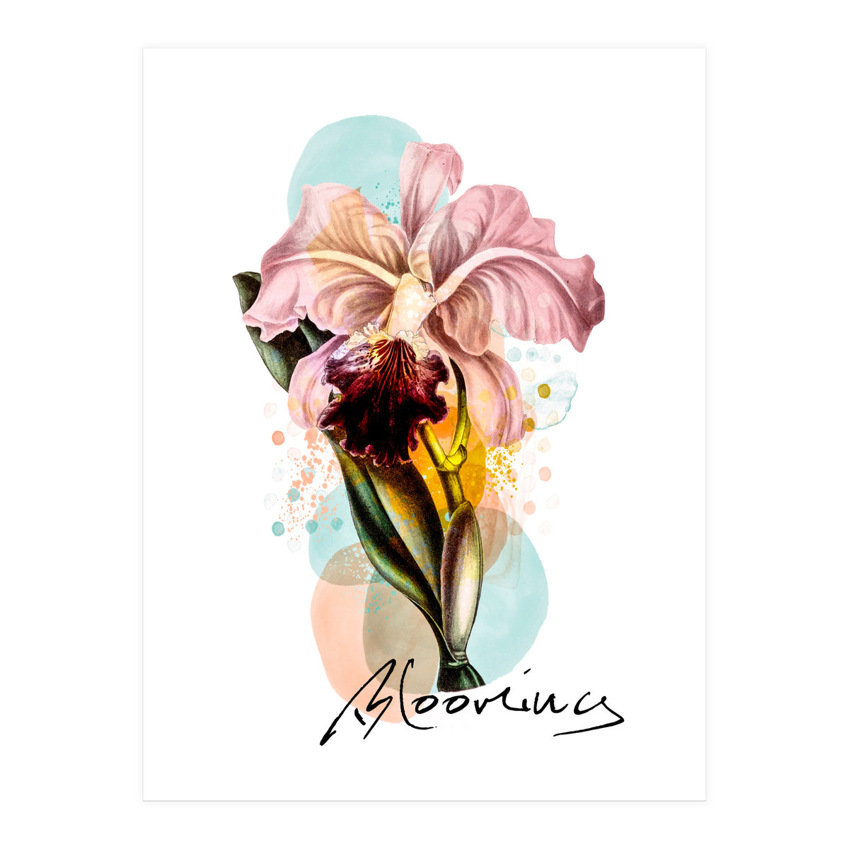 Blooming (Print Only)