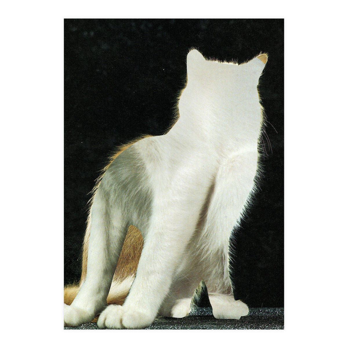 KatzenJammer 11 (Print Only)