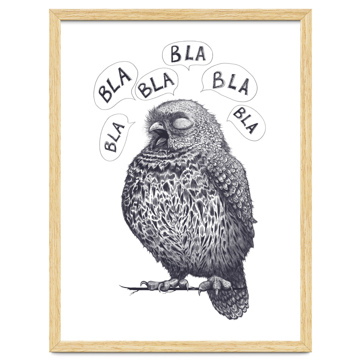 Owl Bla Bla Bla