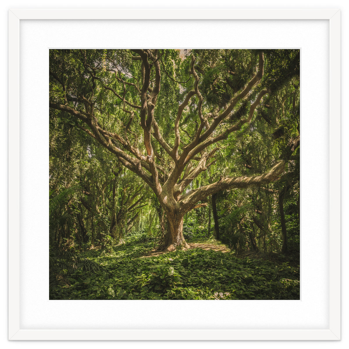 Spirits inside the wood