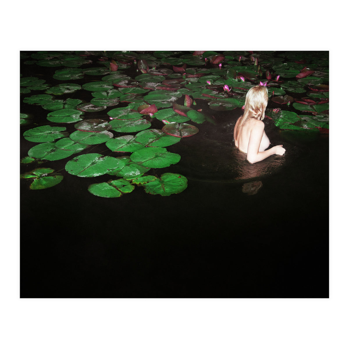 This is Not what You think It is (Print Only)