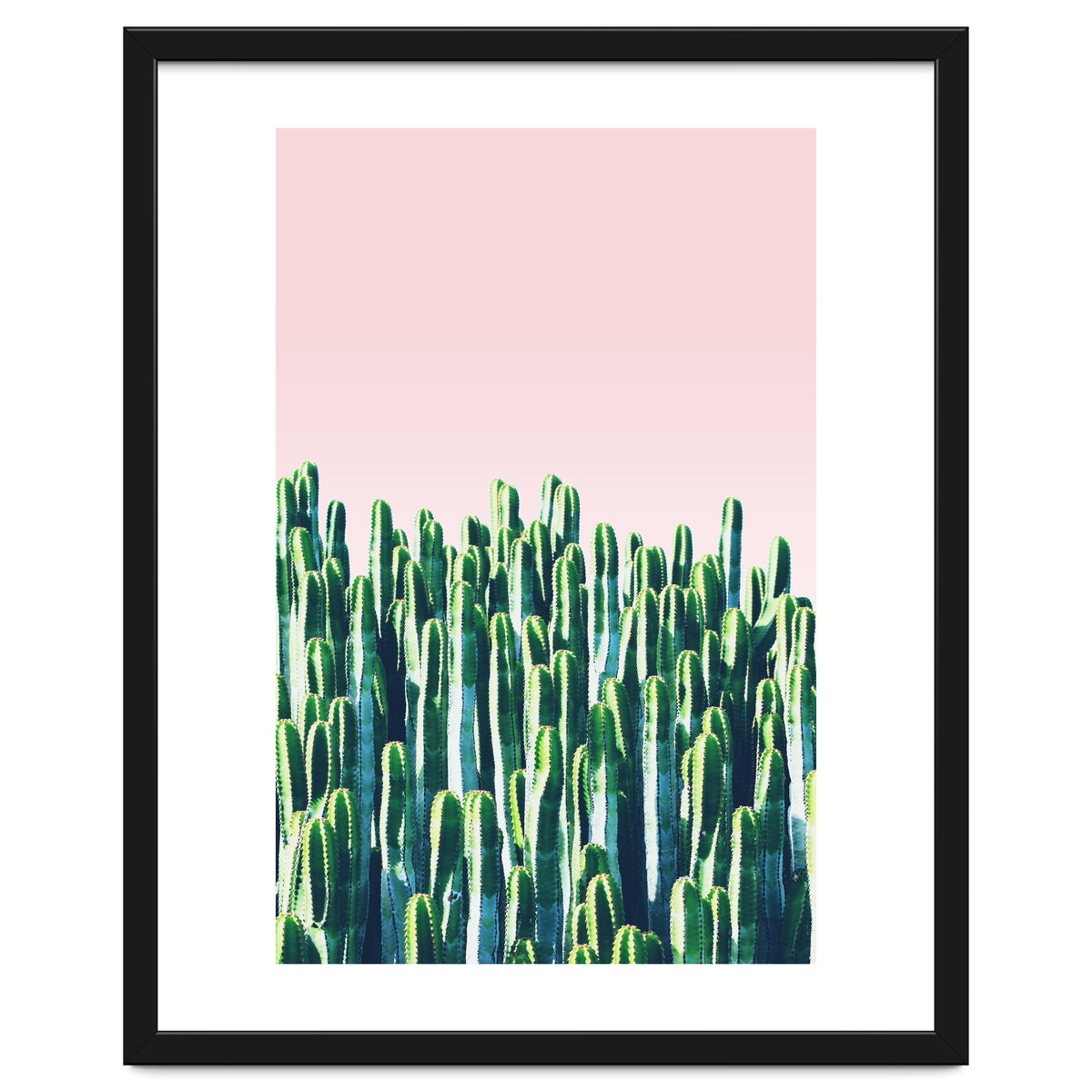 Cactus & Sunset I