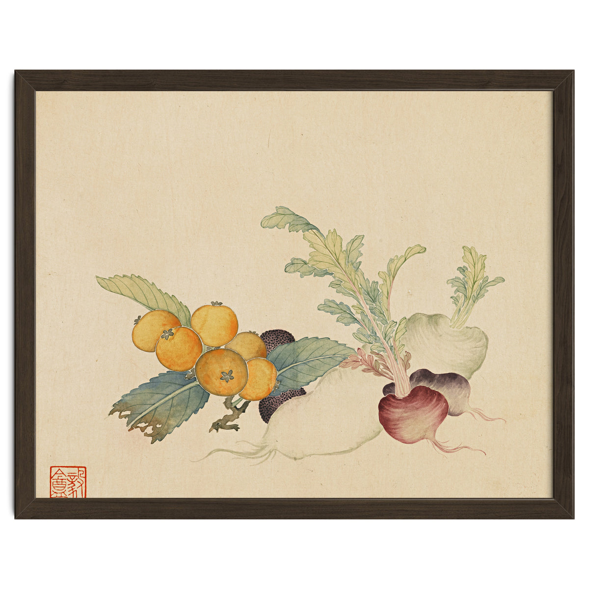 Wang Chengpi~flowers And Vegetables, Vegetables, Fruits, Loquat, White Radish, Carrot, Radish