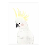 Sweet Cockatoo (Print Only)