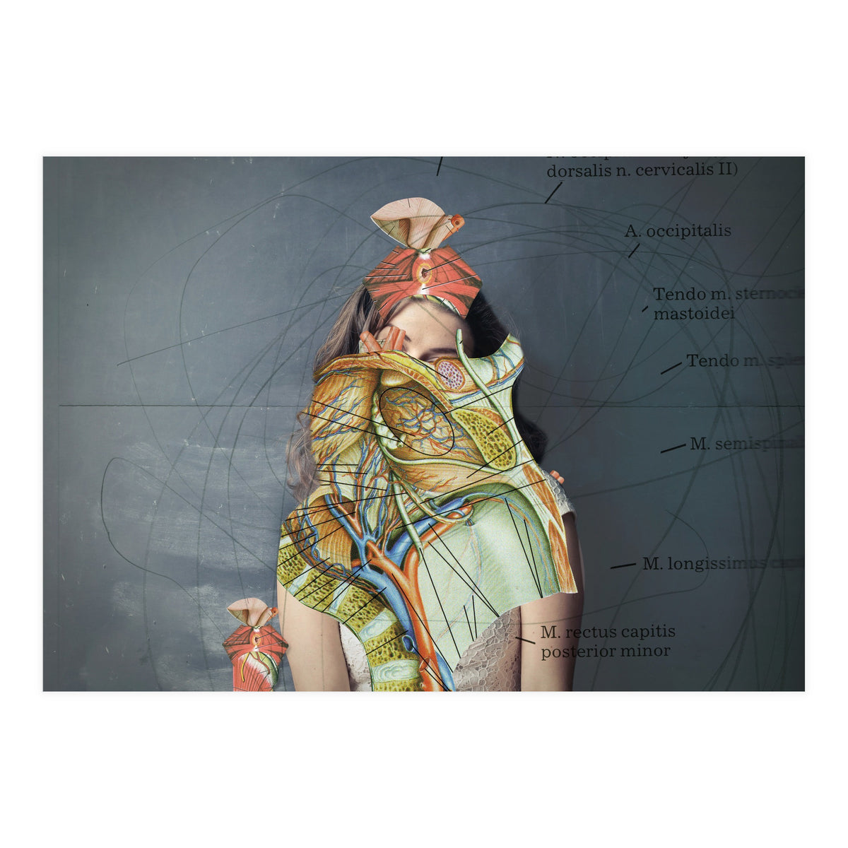 Crazy Woman 204 (Print Only)