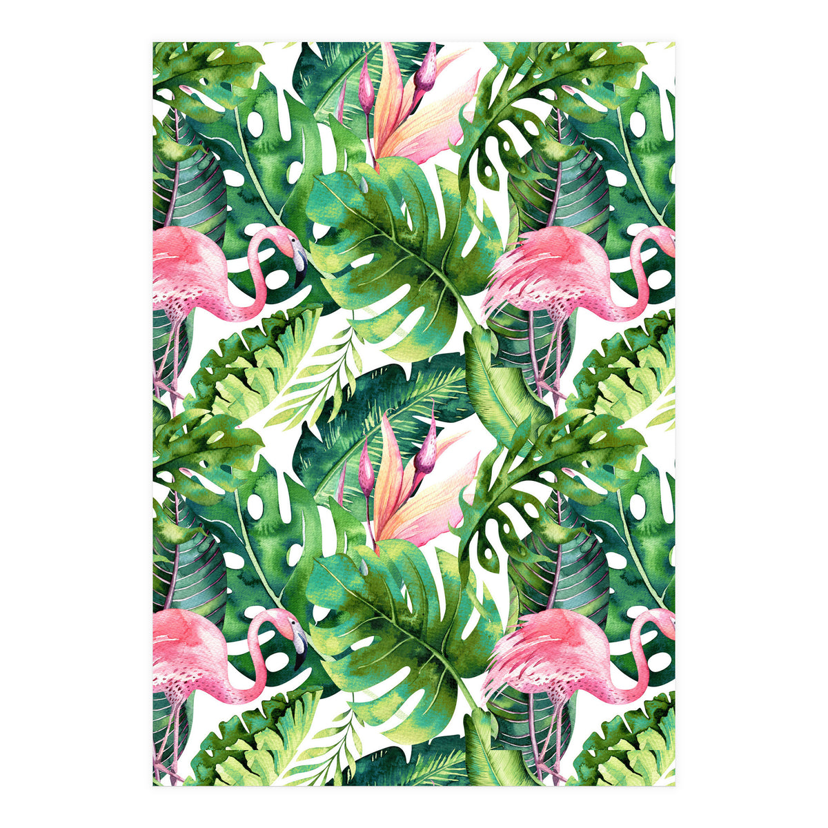 Flamingo Tropical II (Print Only)