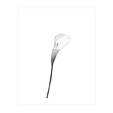 Calla | bright design (Print Only) thumbnail