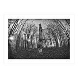 Circle of Growth and decay  (Print Only) thumbnail
