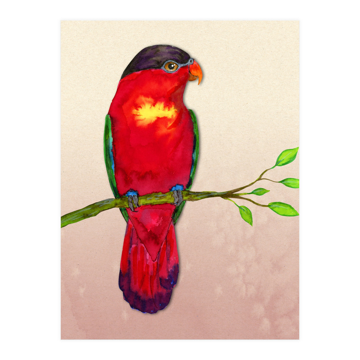 Purple-naped lory (Print Only)