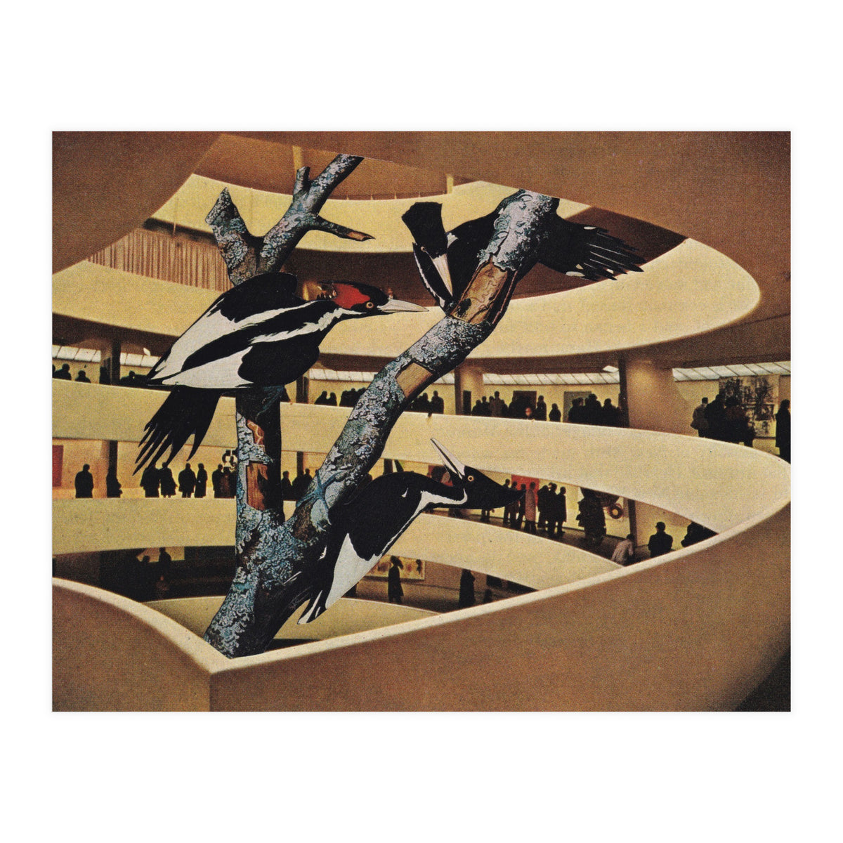 Art Museum (Print Only)