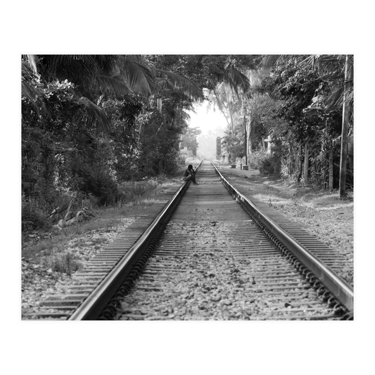 Colombo, Sri Lanka (Print Only)