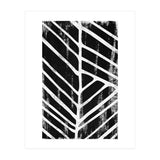 Botanicals Collection No11 (Print Only) thumbnail