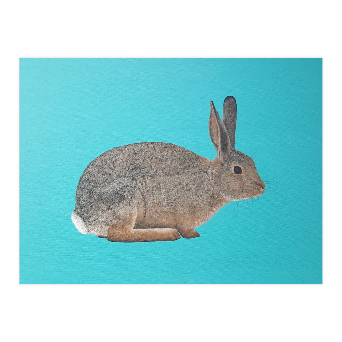 Rabbit (Print Only)