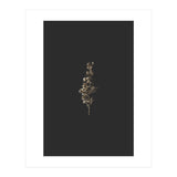 Gold Rush Botanicals (Print Only) thumbnail