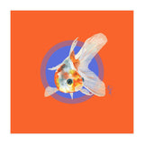 Koi Carp (Print Only) thumbnail