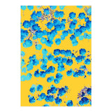 Bananans & Blue (Print Only) thumbnail