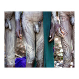 Warriors (Print Only) thumbnail