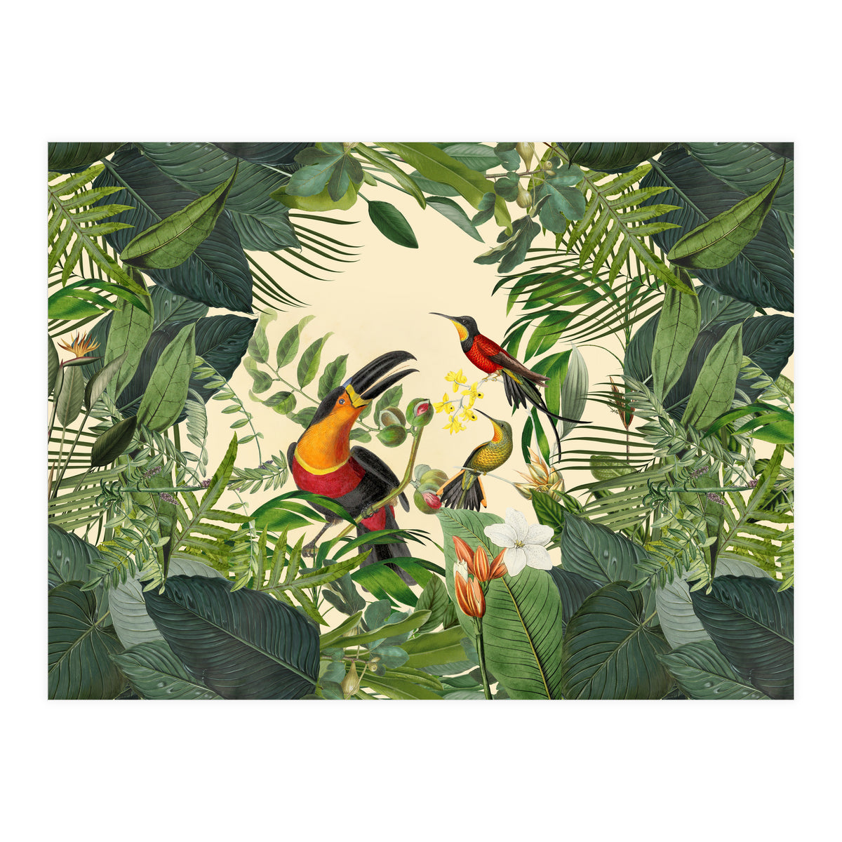 Green Jungle Toucans 2 (Print Only)