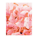 Blushing (Print Only) thumbnail