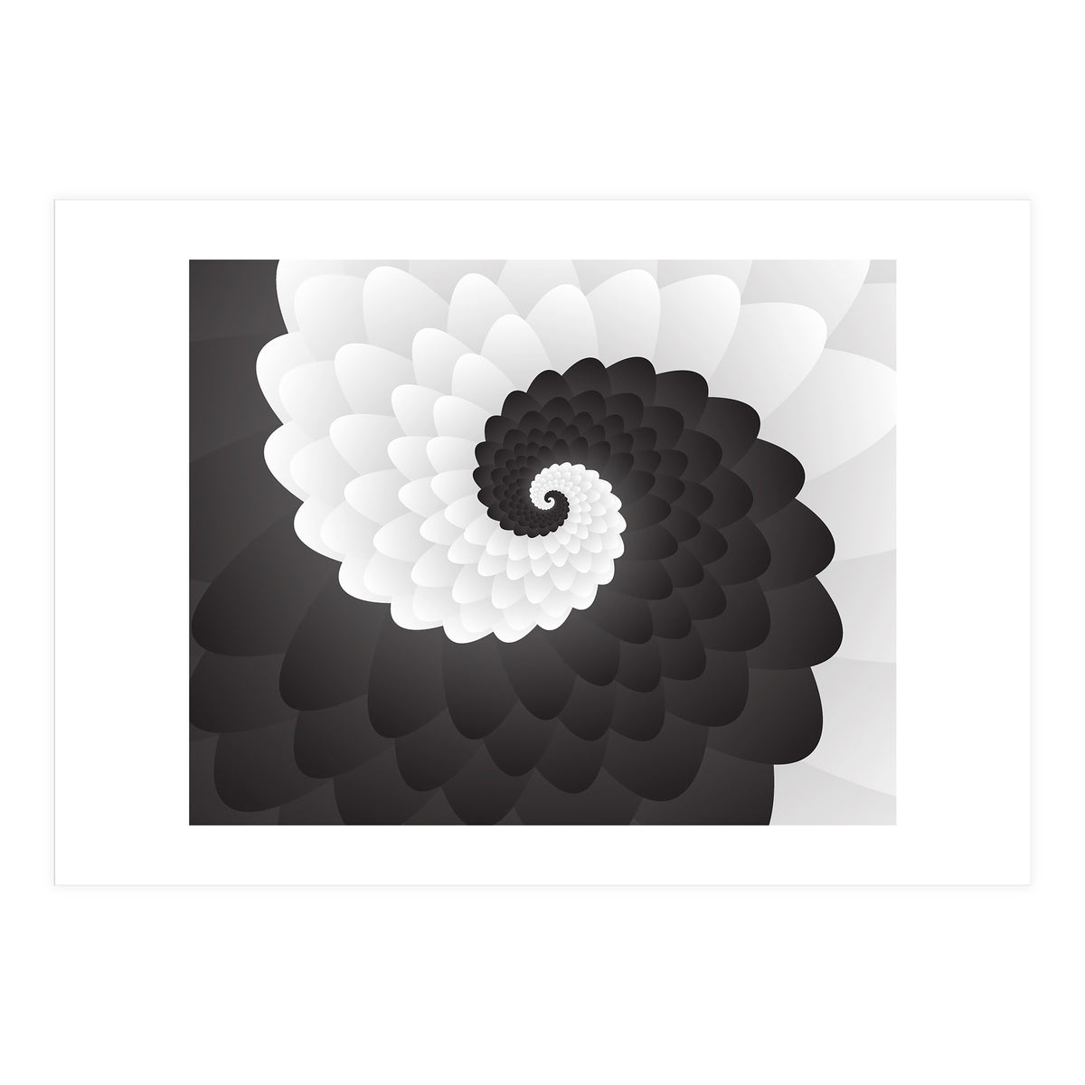 Mono Chrome Spiral Pattern  (Print Only)