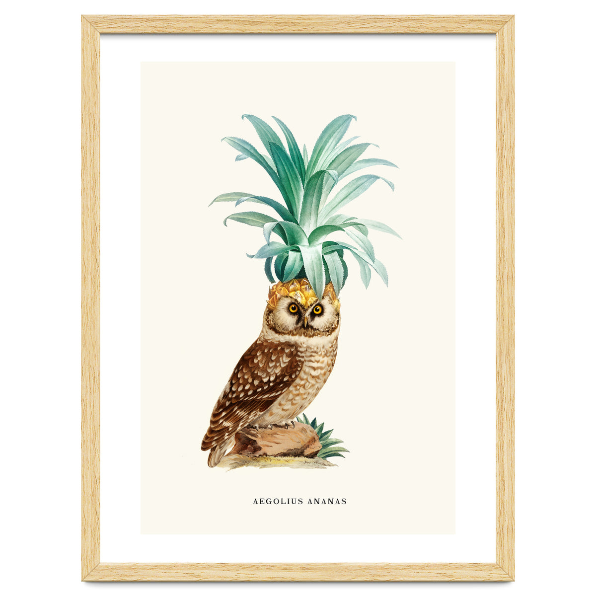 Pineapple Owl Vintage